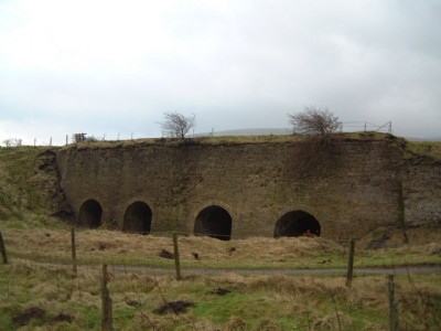 Photographs Of Foresthead