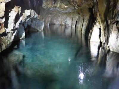 Along the level