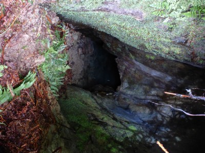 Photographs Of Fornside