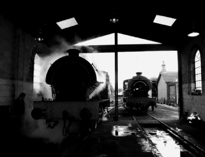 NCB Austerities at Rest on Shed