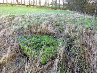 Photographs Of Foxhole Rake