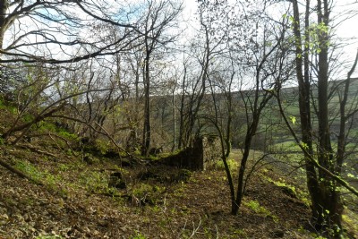 Photographs Of Friar Intake Level