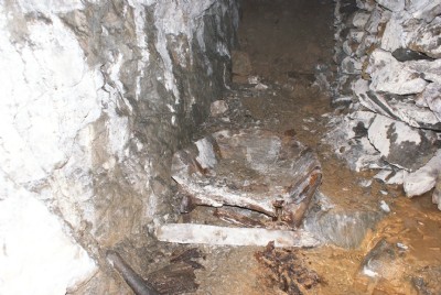 Wheelbarrow remains