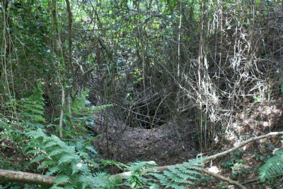Entrance to upper level drive.