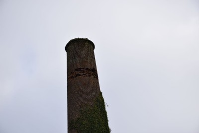 Photographs Of Grambler + St.Aubyn