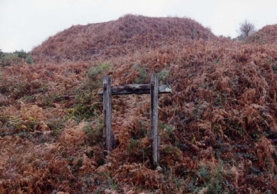 Photographs Of Great Wheal Fortune