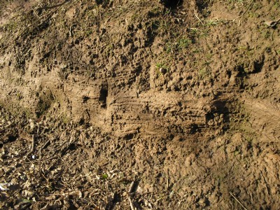 Photographs Of Gwallon