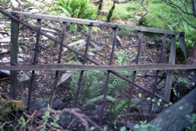 Fish-belly rail
