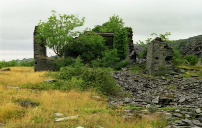 Ruined Mill - 1979