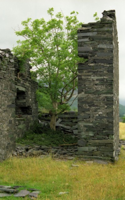 Ruined Mill 1979