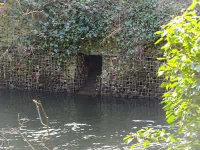 Photographs Of Gaskin Level
