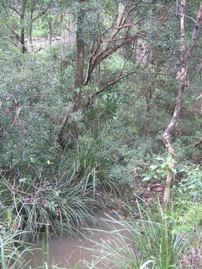 Photographs Of Ghost Hole