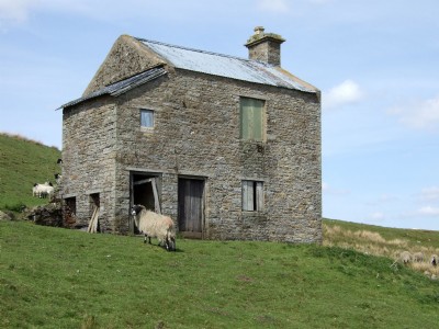 mine shop