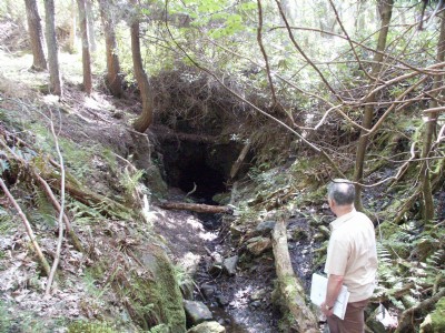 Photographs Of Gillies Hill