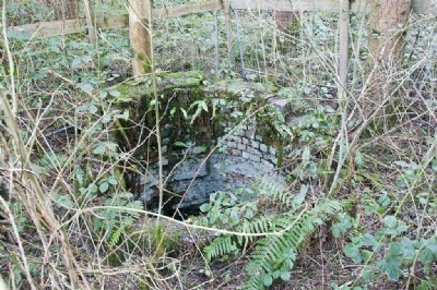 Beehive Shaft Cap remains, Gitchfield Mine