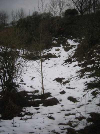 Photographs Of Glaisdale