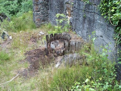 barrels in the mill ruin,july,2004.