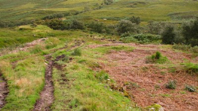 Area near middle level