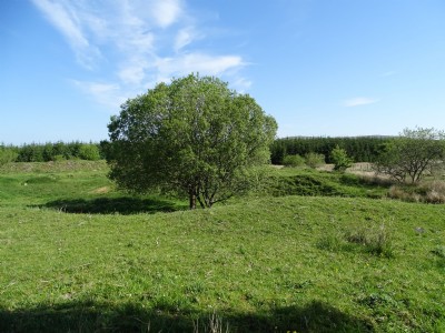 Photographs Of Glenlogan No.8 Pit