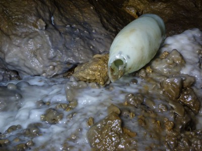 Calcited bottle, Buxton's hole