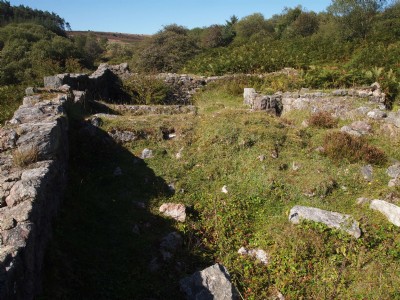 Photographs Of Golden Dagger