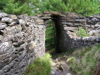Bridge