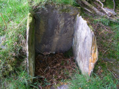 Photographs Of Golwen