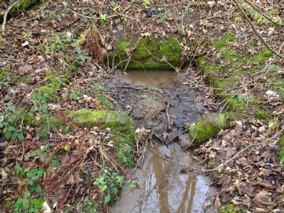 Water issuing from near road