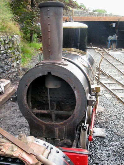 Ant replica viewed from the front