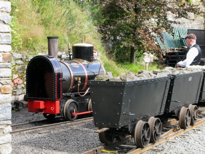 Ant replica and wagons