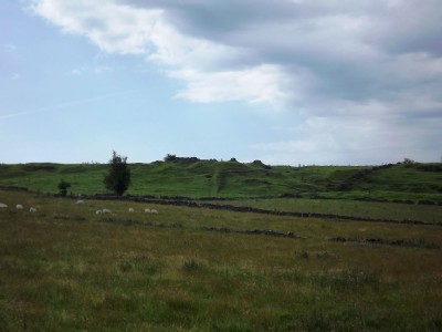 Photographs Of Great Rake