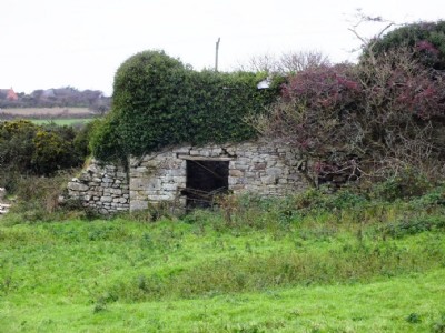 Great Wheal Lovell Visit (Photo ref 70894)
