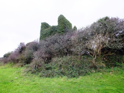 Great Wheal Lovell Visit (Photo ref 70895)