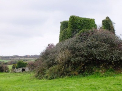 Great Wheal Lovell Visit
