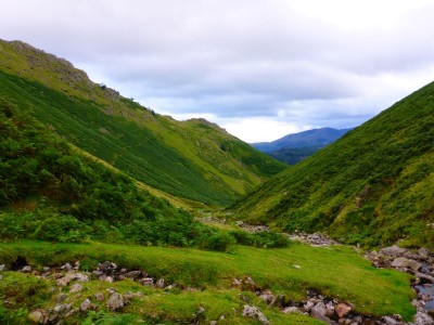 Green Head Gill