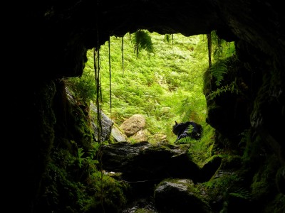Lower trial entrance