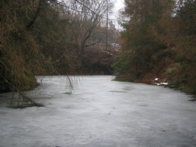 Photographs Of Gribdale