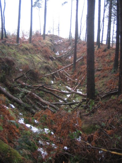 Distinctive gully left by whinstone removal