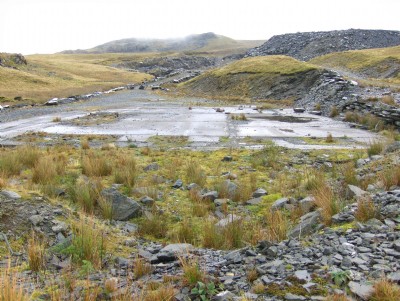 Location of 1991 mill