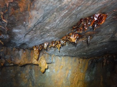 Photo13