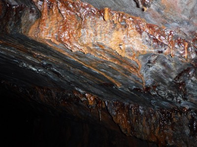 Photo12