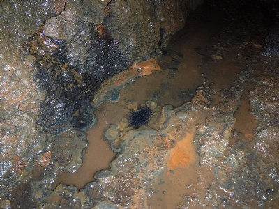 Photo11