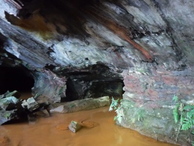 Photo3