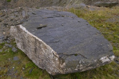 Groesddwynfon