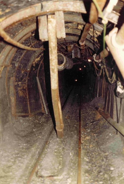 Runaway sprag