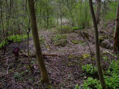 Grumblethorpe Colliery - 21.04.08 Engine House Engine Bed between trees, MR boundary post to left