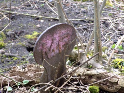 Photographs Of Grumblethorpe