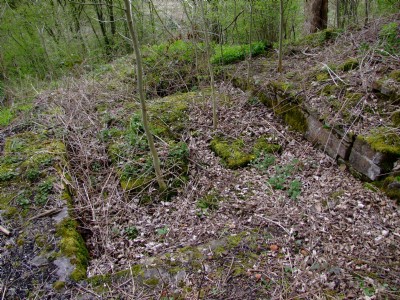 Photographs Of Grumblethorpe