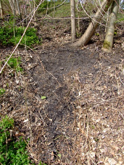 Grumblethorpe Colliery - 21.04.08 Cinder bank from boiler
