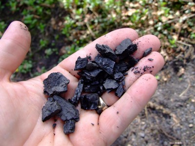 Grumblethorpe Colliery - 21.04.08 Anthracite